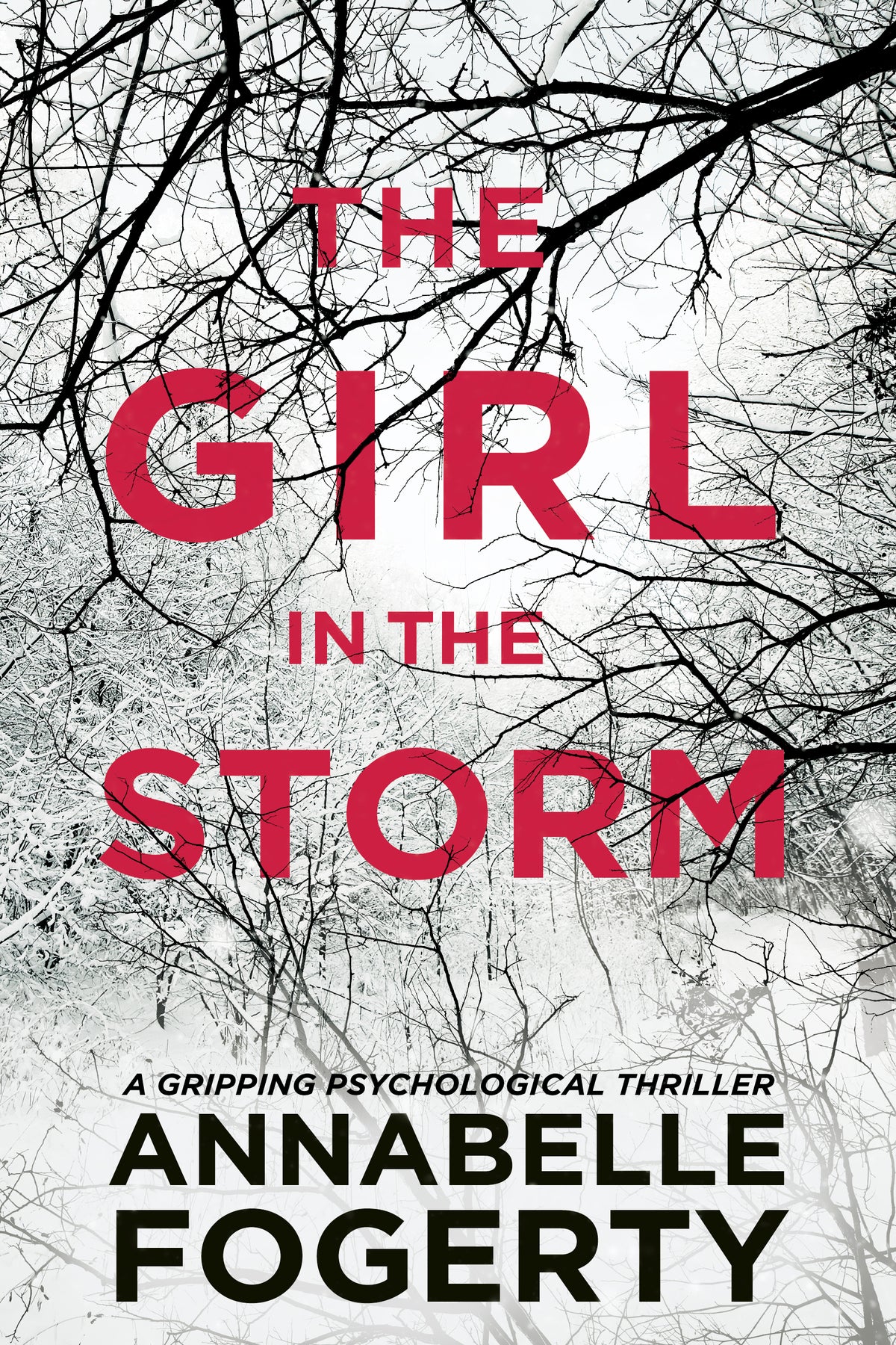 The Girl In The Storm